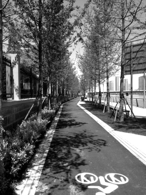 目前已建成16萬(wàn)平方米綠地形成5.5公里連續(xù)綠道每日早晚有近千人次在建成區(qū)域內(nèi)鍛煉、休閑