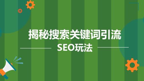 陸明明 搜索推廣吸粉技術，全套運營方案揭秘
