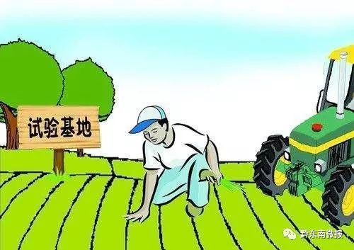 丹寨縣人大常委會(huì)精準(zhǔn)幫扶洋浪村 從“土生土長(zhǎng)”到“兩大家”的職業(yè)中介探索